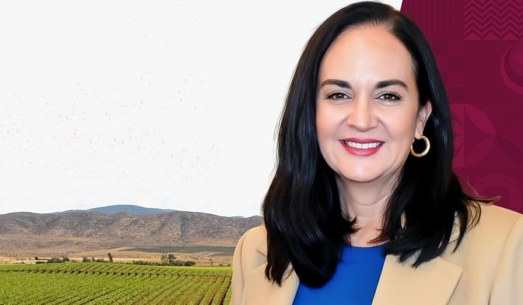 Un nuevo impulso para el turismo: la delegación en el Valle de Guadalupe como un primer paso hacia una visión más amplia