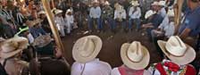 Pacto de compra anticipada de maíz en Sinaloa: Implicaciones para la política agrícola